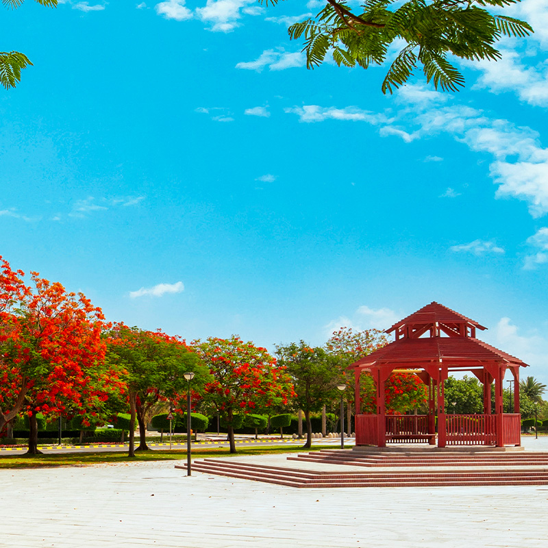 Al Dhannah Park